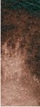 Daniel Smith Burnt umber