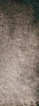 Daniel Smith Sepia