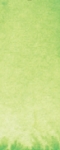 Daniel Smith Phthalo yellow green