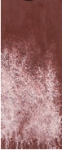 Daniel Smith Lunar red rock