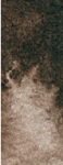 Daniel Smith Raw umber