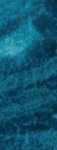 Daniel Smith Mayan blue genuine
