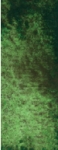 Daniel Smith Green apatite genuine