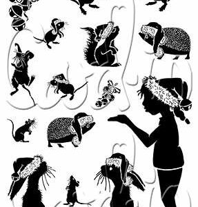 Card-io Party Animals A6