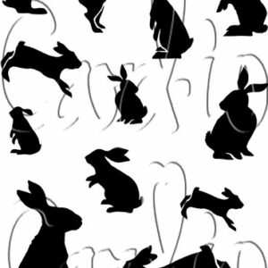 Card-io Cottontail Capers