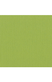 Bazzill Parakeet
