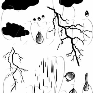 Card-io Wet Weather A6