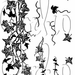 Card-io Ivy Trails A7