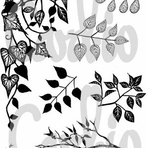 Card-io Amiable Abodes A6