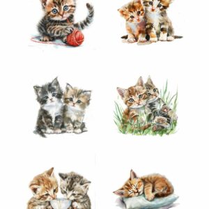 Reprint - Kittens A4 Klippeark