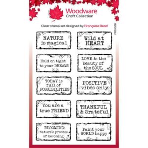 Woodware Clear Singles Distressed Labels Stamps