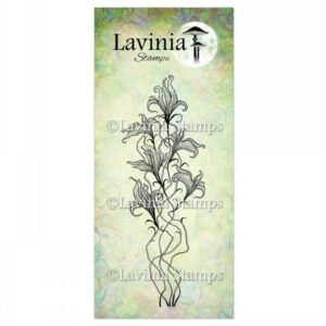 Lavinia Twilight Lily LAV905