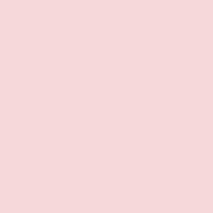 Bazzill Pink Cloud