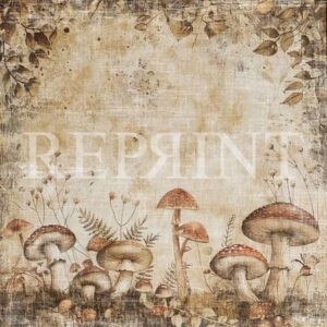 Reprint Hello Fall Collection - Mushroom Fall