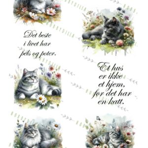 Motivark A4 Dyr 1001 Best med katt M