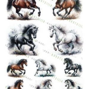 Rispapir A4 Dyr 1011 Hester