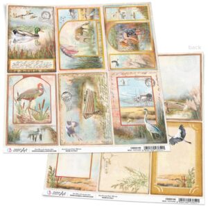 Ciao Bella Delta Postcards 12x12