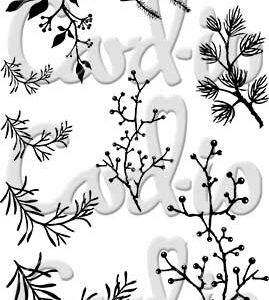Card-io Branching Out A6