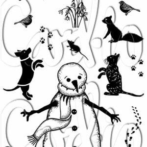 Card-io Favoured Friends A7