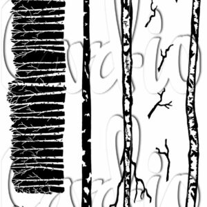 Card-io White Woods A6