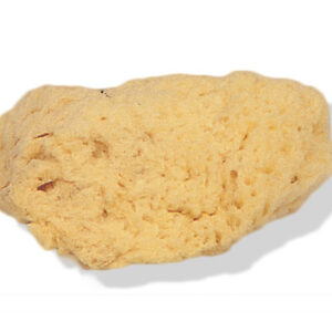 Natursvamp Middels 5-6 cm
