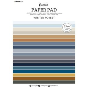 Studiolight Winter Forest 71