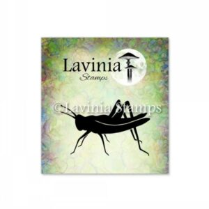 Lavinia Jiminy LAV661