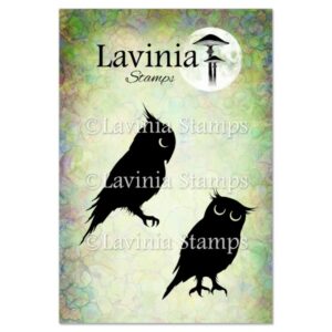 Lavinia Echo and Drew LAV641