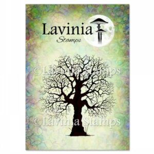 Lavinia Oak Tree LAV186