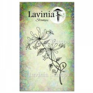 Lavinia Honeysuckle LAV109