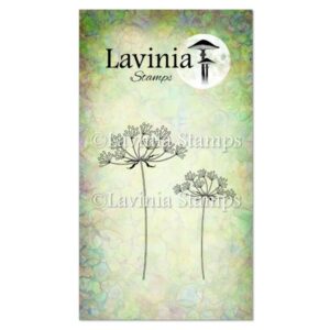 Lavinia Wild Summer Flower LAV749