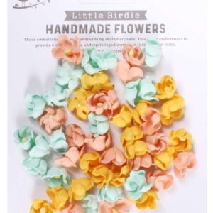 Paula Pastel Palette 50pc Little Birdie