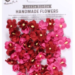 Paula Candy Mix 50pc Little Birdie