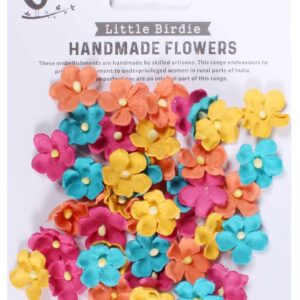 Paula Vavid Palette 50pc Little Birdie