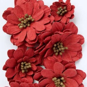 Galina - Cardinal Red ,7pc Little Birdie