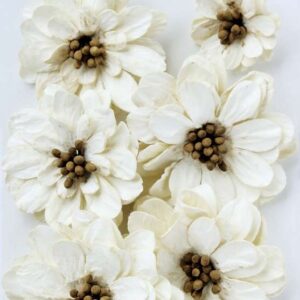 Galina - Ivory Pearl ,7pc Little Birdie