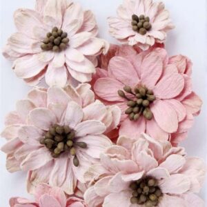 Galina - Pink Passion ,7pc Little Birdie