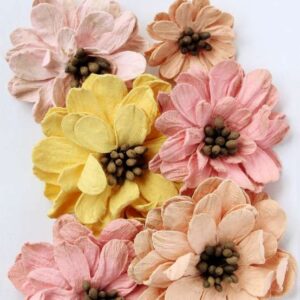 Galina - Sunny Rose ,7pc Little Birdie