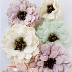 Galina - Fairy Garden ,7pc Little Birdie