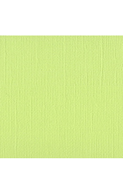 Bazzill Limeade