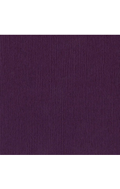 Bazzill Velvet