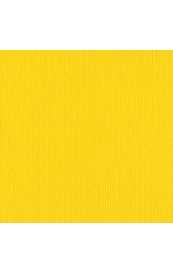 Bazzill Yellow