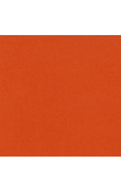 Bazzill Orange