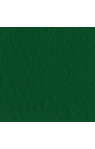 Bazzill Classic Green